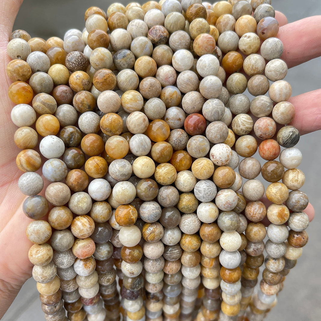 Natural Coral Fossil Stone
